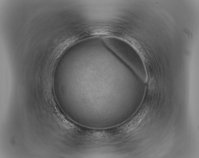 X0000110920385200906181413