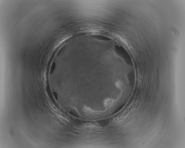 X0000110920386200906181413