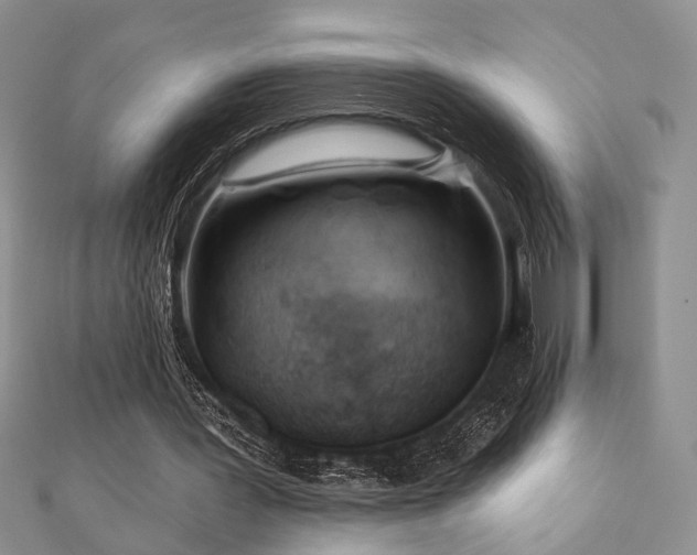 X0000110920387200906181413