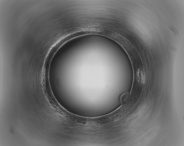 X0000110920388200906181413