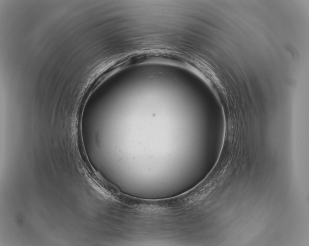 X0000110920389200906181413