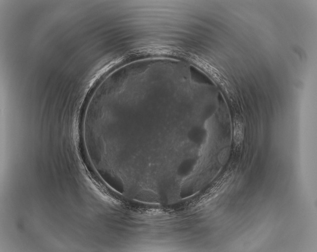 X0000110920390200906181413