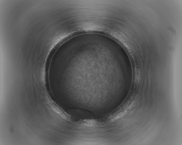 X0000110920391200906181413