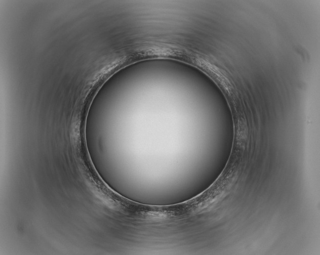 X0000110920394200906181413