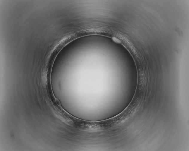 X0000110920395200906181413