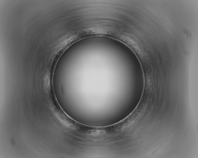 X0000110920398200906181413