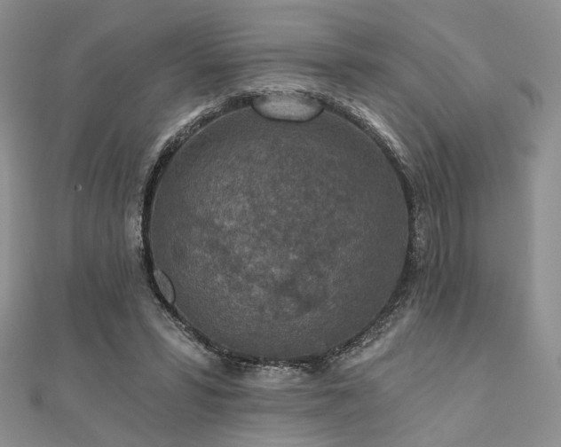 X0000110920399200906181413