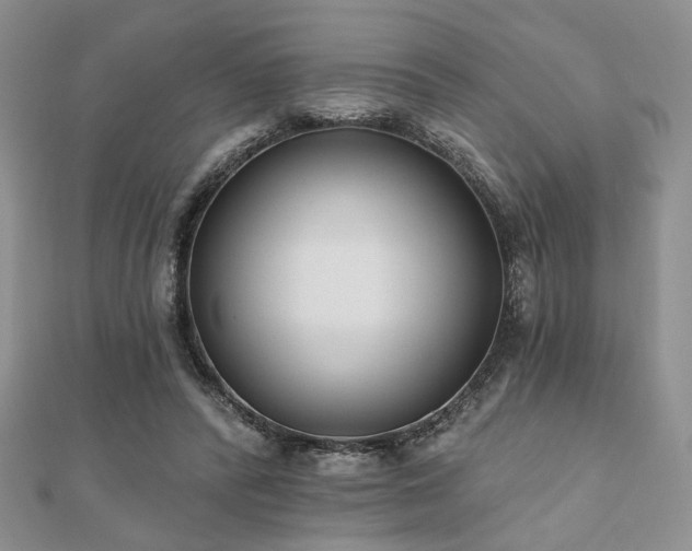 X0000110920400200906181413