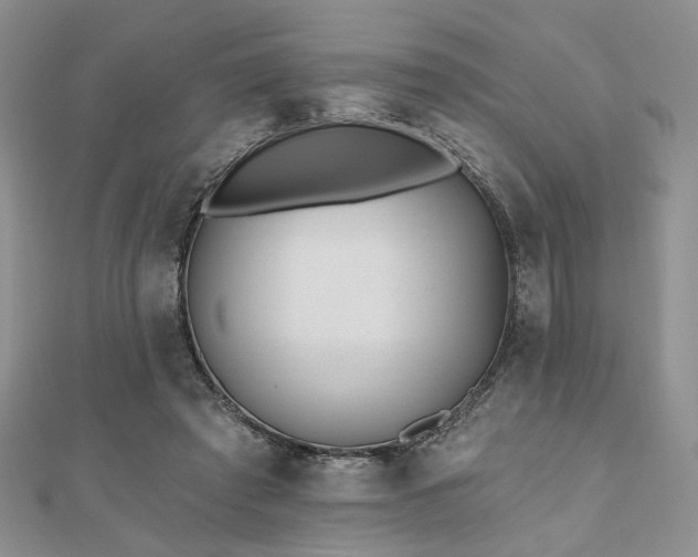 X0000110920401200906181413