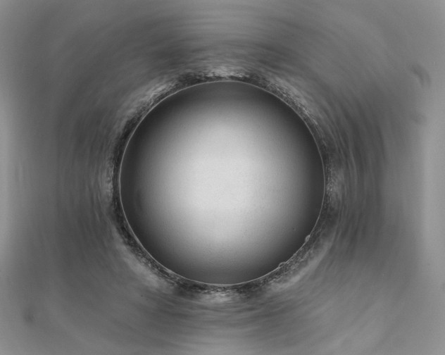X0000110920402200906181413