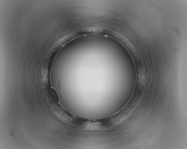 X0000110920403200906181413