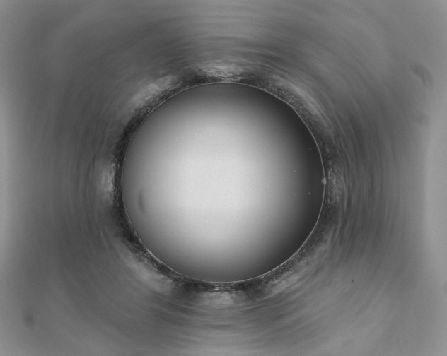 X0000110920404200906181413