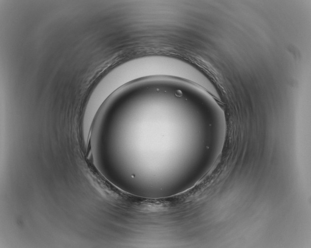 X0000110920405200906181413