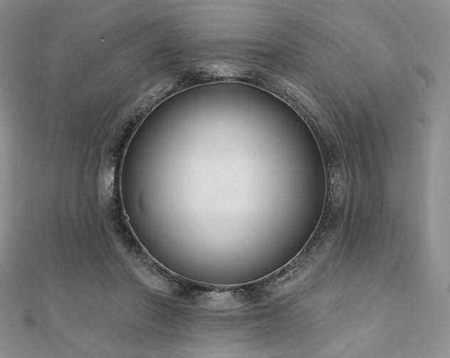 X0000110920406200906181413