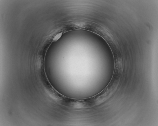 X0000110920412200906181413