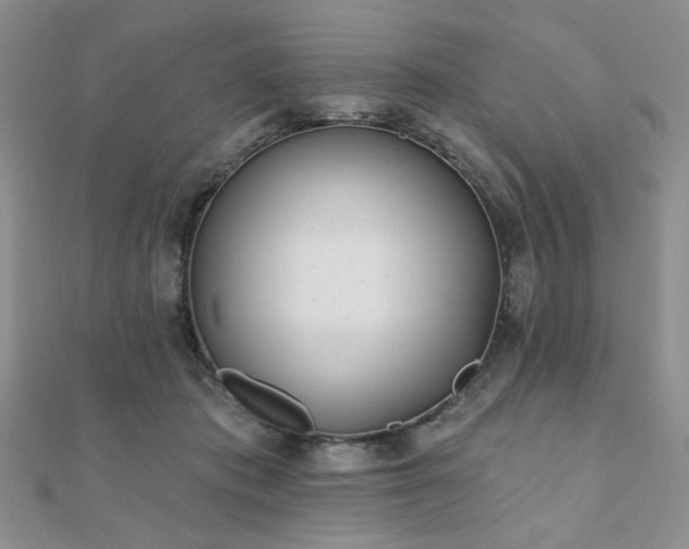X0000110920413200906181413