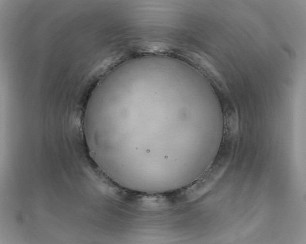 X0000110920415200906181413