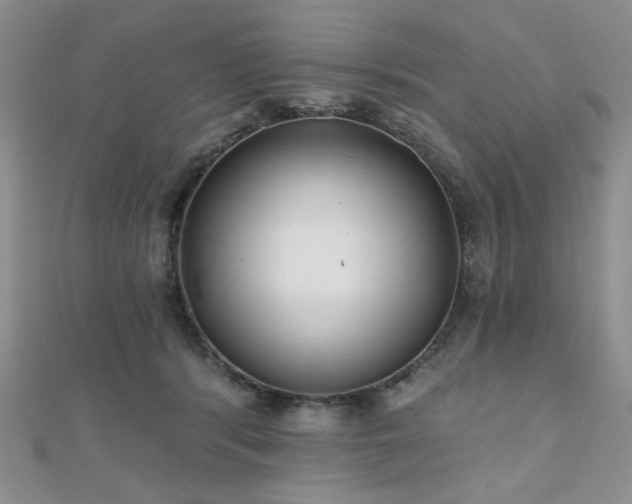 X0000110920416200906181413