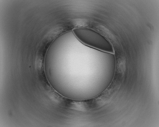 X0000110920417200906181413