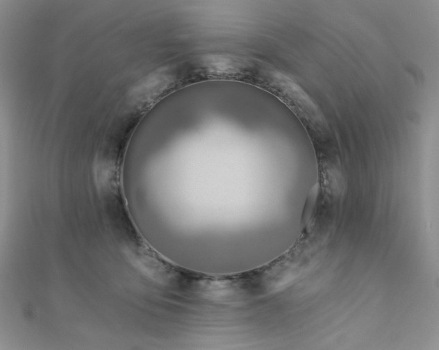 X0000110920419200906181413