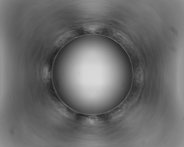 X0000110920420200906181413