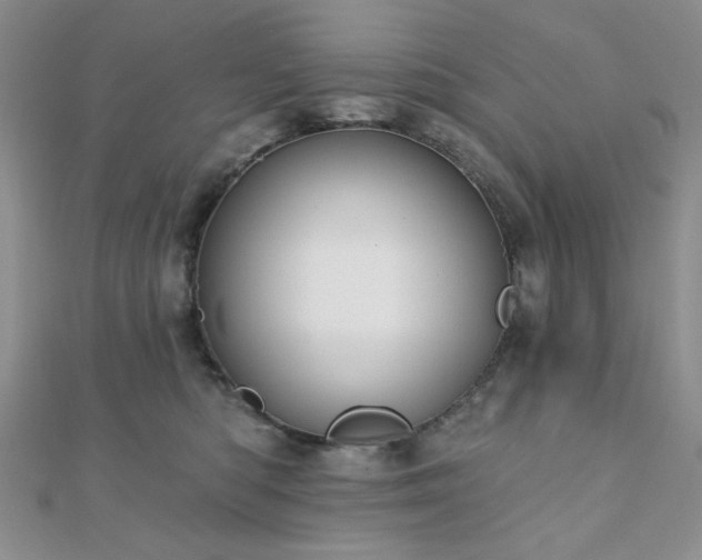 X0000110920422200906181413