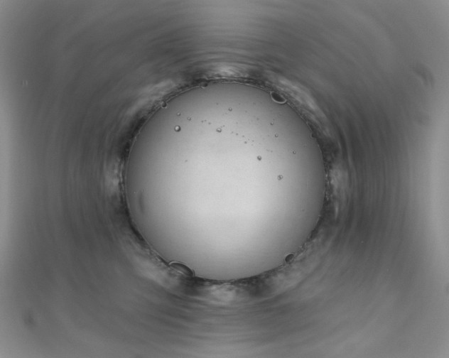 X0000110920423200906181413
