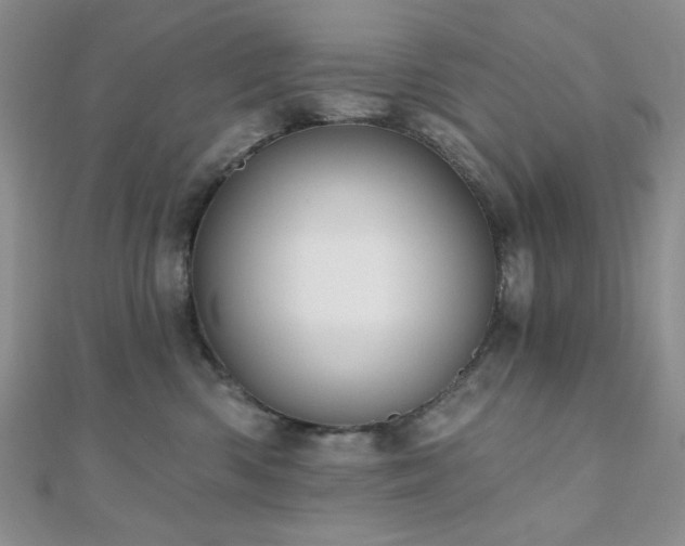 X0000110920426200906181413
