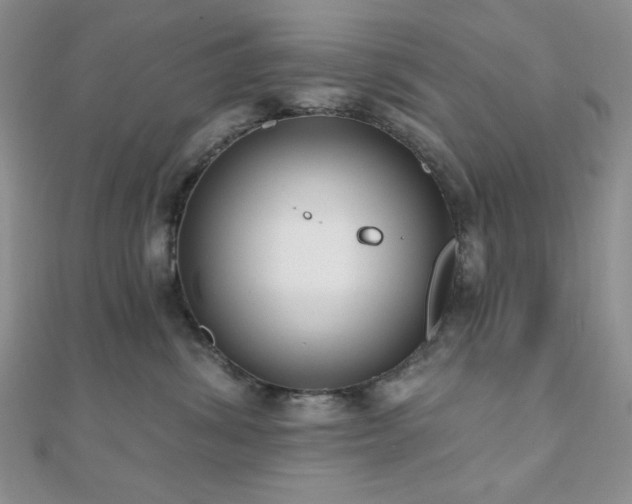 X0000110920428200906181412