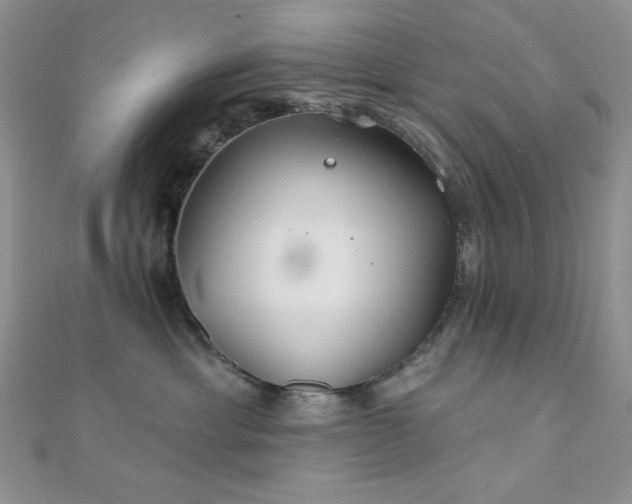 X0000110920429200906181412