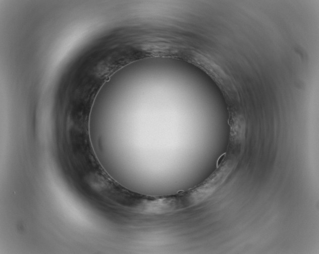 X0000110920430200906181412