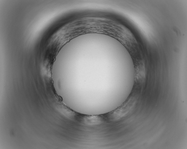 X0000110920431200906181412