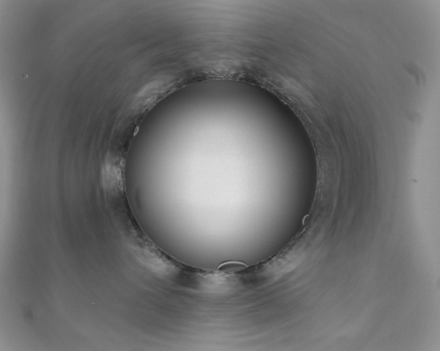 X0000110920432200906181412