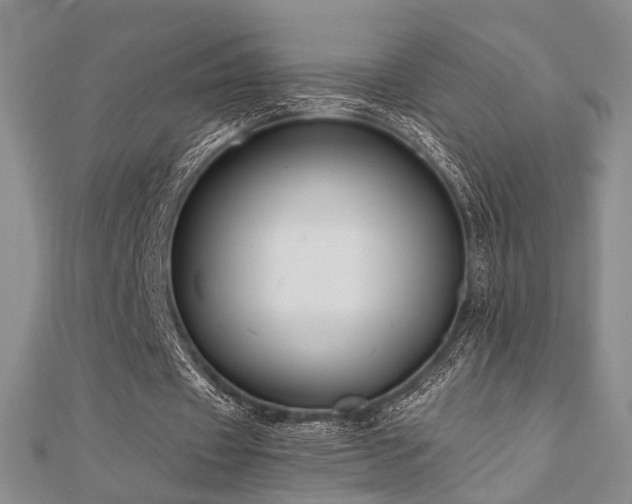 X0000110920433200906181412