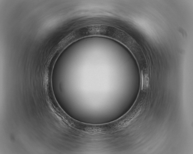 X0000110920435200906181412