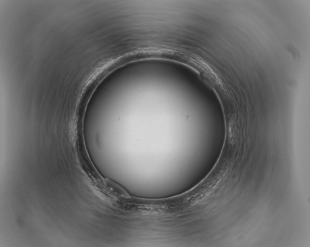 X0000110920436200906181412