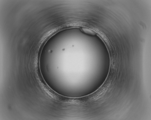 X0000110920437200906181412
