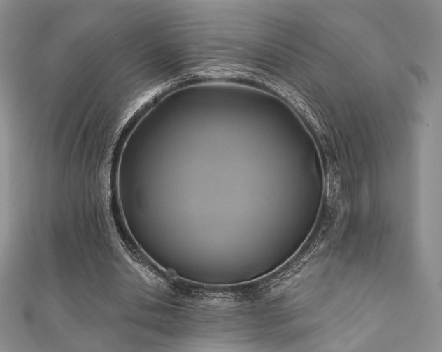 X0000110920438200906181412