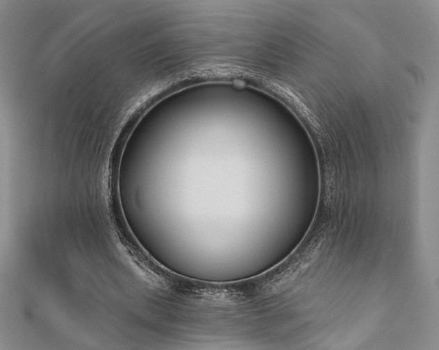 X0000110920439200906181412