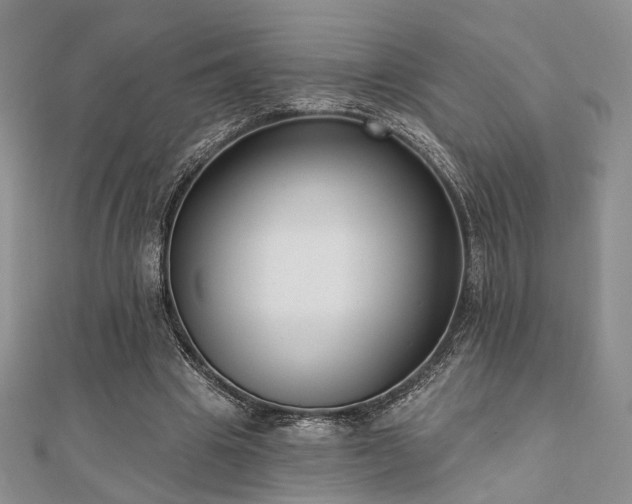 X0000110920441200906181412