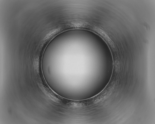 X0000110920442200906181412
