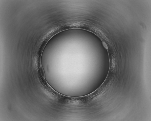 X0000110920444200906181412