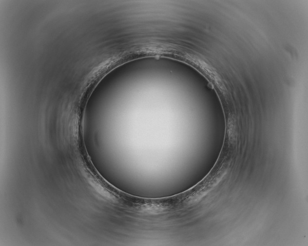 X0000110920445200906181412