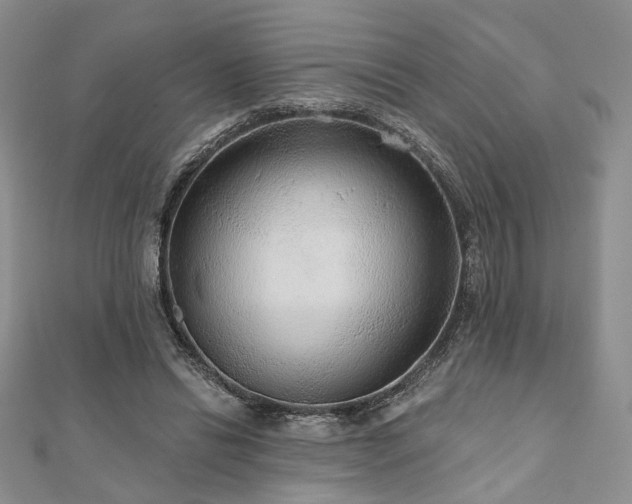 X0000110920446200906181412