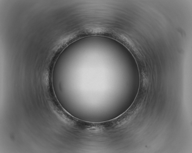 X0000110920447200906181412