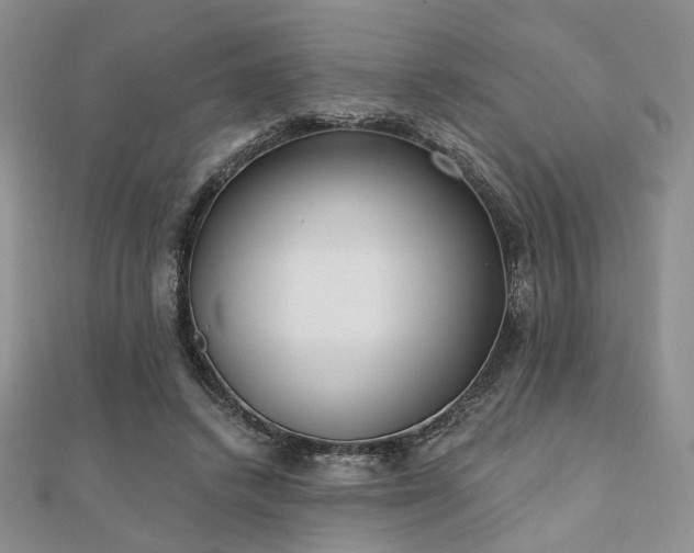 X0000110920448200906181412