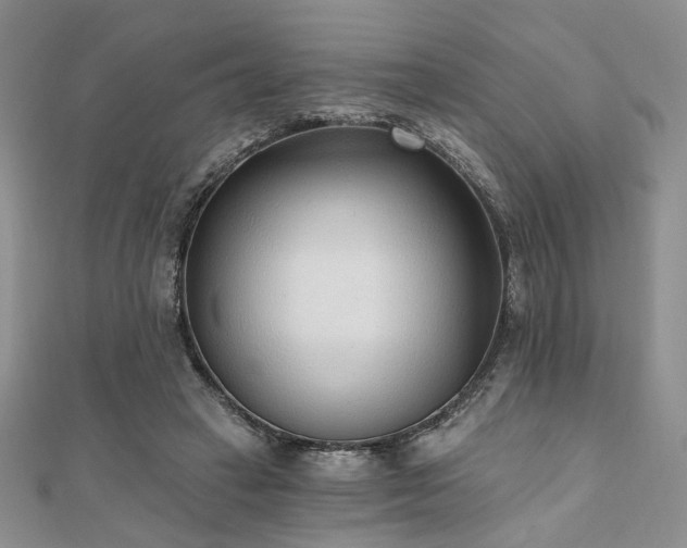 X0000110920449200906181412