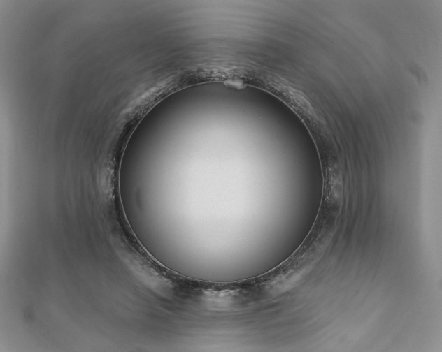 X0000110920450200906181412