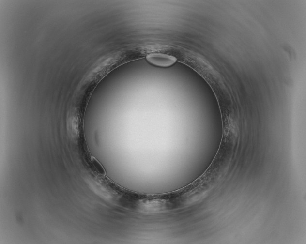 X0000110920452200906181412