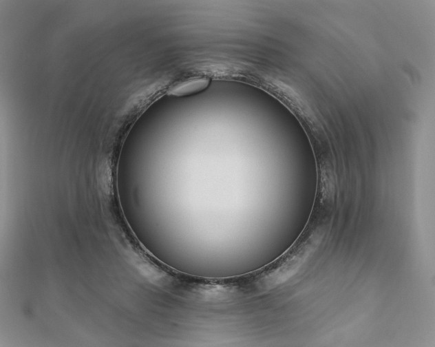 X0000110920453200906181412